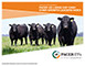 Institutional Presentation: Cash Cows Leaders