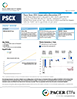 Pacer Swan SOS Flex (January) ETF Factsheet