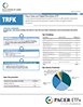 Pacer Data and Digital Revolution ETF Factsheet