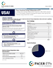usai_fs_thumb.png