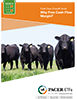 Why Free Cash Flow Margin